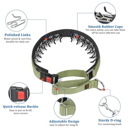 Mayerzon No Pull Dog Collar, Patented Martingale Collar for Small Medium Large Dogs with Buckle and Heavy Duty Nylon for Walking Training Hunting, Safe and Easy to Use(L, Green)