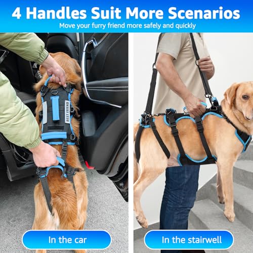 Lafoty Dog Lift Harness for Large Male Dogs, 2-in-1 Detachable Support Harness, Full Body Carrying with 4 Handles, Dog Sling for Large Dogs Hind Leg Support(Black, X-Large)