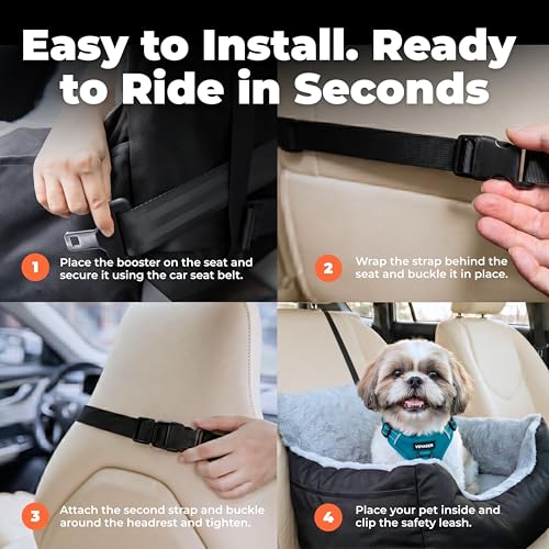 Best Pet Supplies Elevated Dog Car Seat for Small Dogs, Booster Seat with Safety Tether & Storage, Washable Travel Pet Seat for Front or Back Seat, Up to 25 lbs - Gray - 21 x 20 x 14