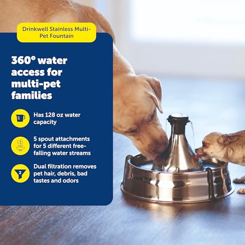 PetSafe Drinkwell Stainless Steel 360 Multiple Pet Fountain - Scratch and Rust Resistant Automatic Water Dispenser for Cats or Dogs - Adjustable Flow Control - 128 Ounce (3.8 Liter) - Filters Included