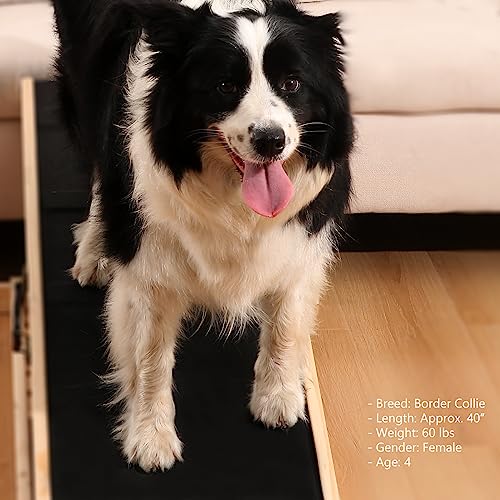 Woohoo Dog Ramp - with Innovative Non-Slip Rubber Mat - for Couch and Bed - 41" Long and Adjustable from 14" to 24" - Great for Pets of All Ages