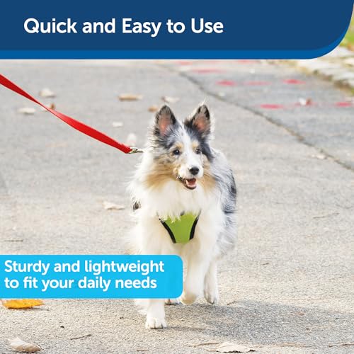 PetSafe Nylon Dog Leash - Strong, Durable, Traditional Style Leash with Easy to Use Bolt Snap - 3/8 in. x 6 ft., Red