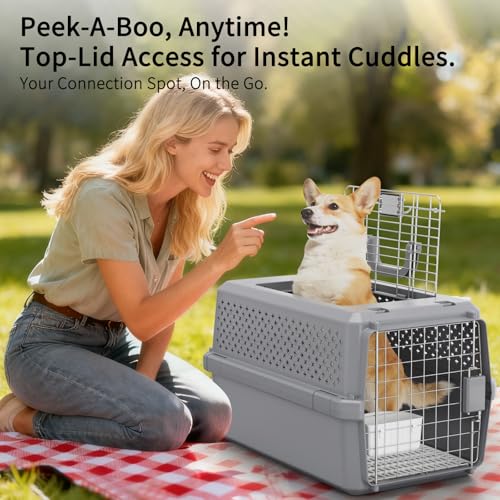 RIZZARI Pets Spree Hard-Sided Pet Travel Carrier, Portable Crate for Medium Dogs and Cats, Durable Plastic Carrier with Metal Door and Ventilation, Ideal for Air Travel, Trips and Outdoor Use