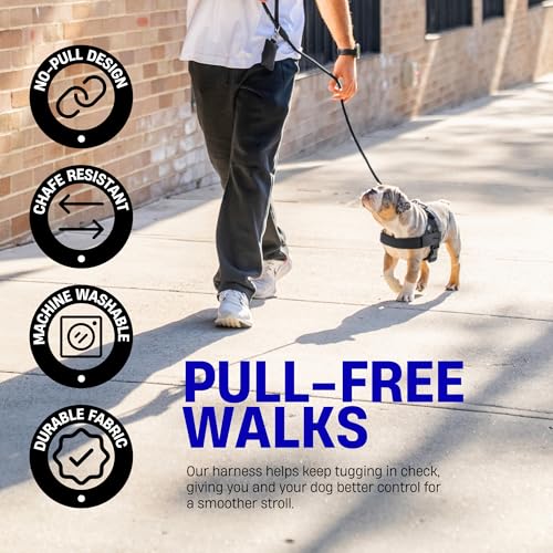 Dog Friendly Co. Dog Harness | Chafe Resistant Webbing, Adjustable Neck & Chest, and Heavy Duty D-Ring | Sturdy, Comfortable, Easy to Use | Pink, Size L