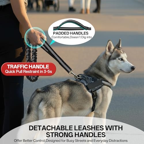 Qltytoy Hands Free Double Dog Leash for Two Dogs,240LB Heavy Duty Retractable with Partitioned Pouch Adjustable Waist for Walking Running Jogging Hiking Biking Training for Medium/Large(Not for＜25LBS)