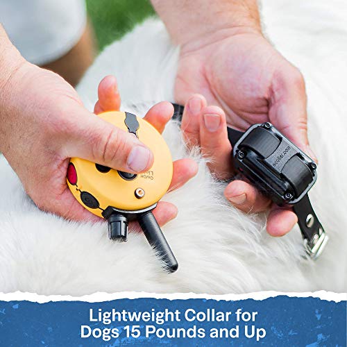 Educator ET-300 Mini E Collar for Dog Training with Remote - 1/2 Mile Range, Waterproof, 100 Blunt Stimulation Levels, Tone or Vibration Mode, Night Light Tracking for Small, Medium & Large Dogs