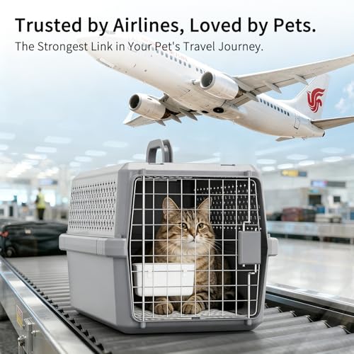 RIZZARI Pets Spree Hard-Sided Pet Travel Carrier, Portable Crate for Medium Dogs and Cats, Durable Plastic Carrier with Metal Door and Ventilation, Ideal for Air Travel, Trips and Outdoor Use