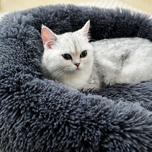 Fhodigogo Donut Dog Bed Cat Bed Fluffy Calming Pet Bed Dog Round Bed Cat Round Bed Warm Kitten Nest Ideal for 3Kg Pet, Small, Dark Dray