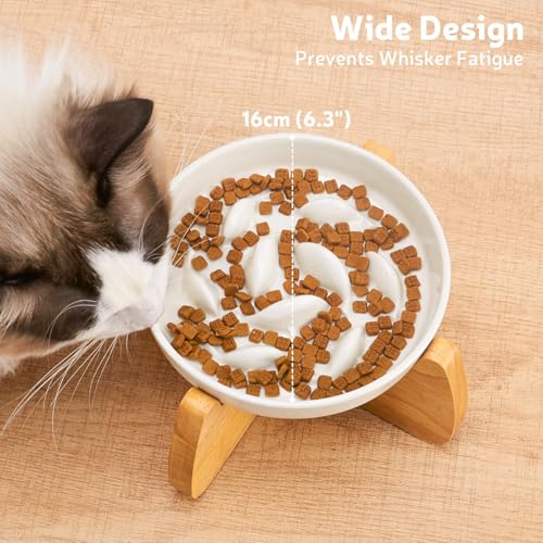 GUWINA Raised Slow Feeder Cat Bowl with Stand, 6.3'' Wide Ceramic Elevated Shallow Slow Eating Cat Bowl for Dry/Wet Food, Anti-Vomiting Pet Puzzle Feeder, Whisker Friendly, Dishwasher Safe (White)
