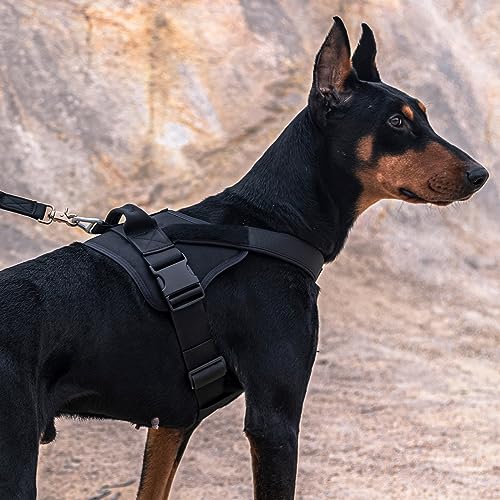 EXCELLENT ELITE SPANKER Tactical Dog Harness Military Patrol Harness No-Pull Service Dog Vest Military Dog Vest Adjustable Training Working Dog Vest with Handle for Medium Large Dogs(MCP-L)