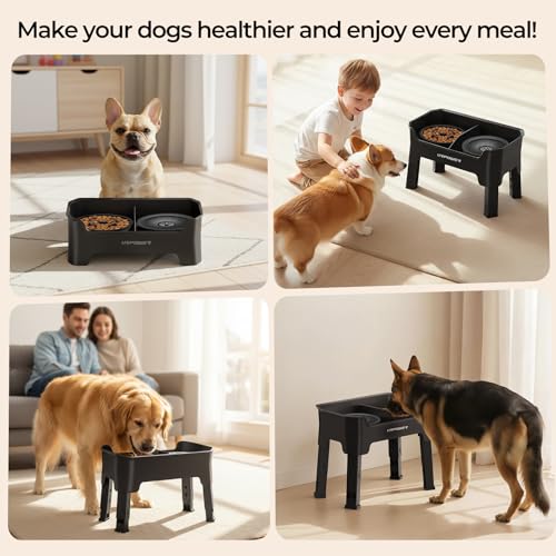 URPOWER Mess Proof Elevated Dog Bowls 4 Height Adjustable Raised Stand with No Spill Water Bowl and Slow Feeder Dog Bowls Non-Slip Food and Water Bowl Set for Small, Medium & Large Dogs