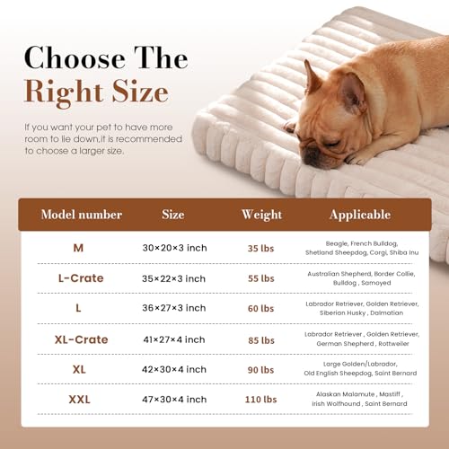 Cozila Dog Beds for Large Sized Dog, Orthopedic Pet Bed with Waterproof Lining, Soft Short Plush Surface & Egg Crate Foam, Machine Washable Pet Bed with Removable Cover & Anti Slip Bottom