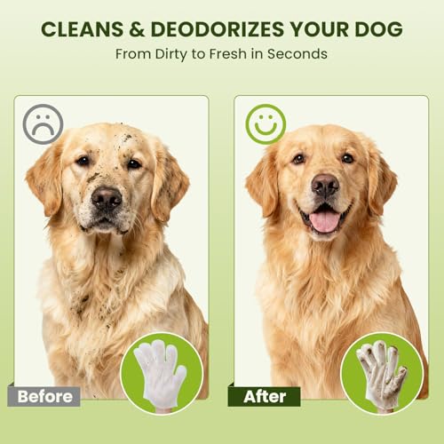 36PCS Hypoallergenic Pet Glove Wipes for Dogs, Cats & Small Animals | No-Rinse Deodorizing Dog Wipes for Paws, Butt, Eyes & Ears | Pet Wipes for Stain & Odor Cleanup Between Baths & Travel