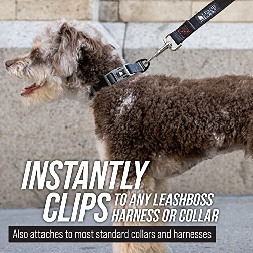 Leash Boss Free Range - Long Dog Leash for Large Dogs + Drawstring Backpack - 1 Inch Nylon Training Lead with Padded Handle (Black) (30 Ft)