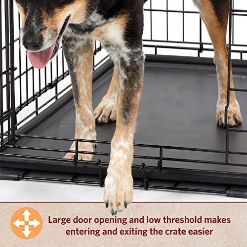 MidWest Homes for Pets Intermediate LifeStages Double Door 36-Inch Folding Dog Crate, Enhanced Security, Includes Leak-Proof Pan, Divider Panel, Handle, Rubber Feet
