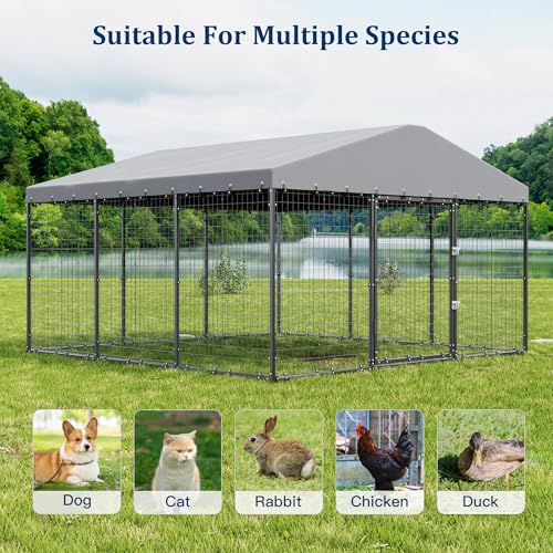Kullavik 10x10x6 FT Large Outdoor Dog Kennel,Anti-Rust Galvanized Steel Dog Pen with Double Locks,Heavy Duty Dog Enclosure Fence with UV & Water Resistant Roof Cover for Outside