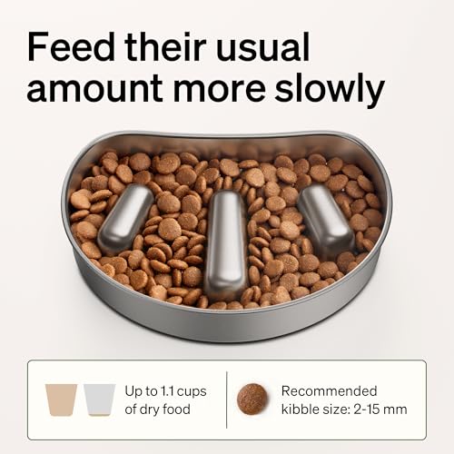 PETLIBRO Slow Feeder Bowl for Small Dogs & Cats, 1.125 Cup— Anti-Gulp Stainless Steel Dog & Cat Bowl, Helps Reduce Risk of Bloat, Dishwasher Safe — Compatible with PETLIBRO Camera Automatic Feeder