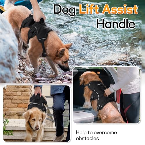 rabbitgoo Escape Proof Dog Harness, Soft Padded Full Body Pet Harness, Reflective Adjustable No Pull Vest with Lift Handle and Leash Clip for Large Dogs Walking Hiking Training, L, Black