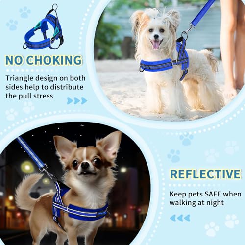 Lukovee No Pull Dog Harness and Leash Set, Soft Padded Small Dog Harness, Neck & Chest Adjustable Reflective Vest Puppy Harness with 4ft Lightweight Anti-Twist Dog Leash for Small Dogs (XS, Blue)