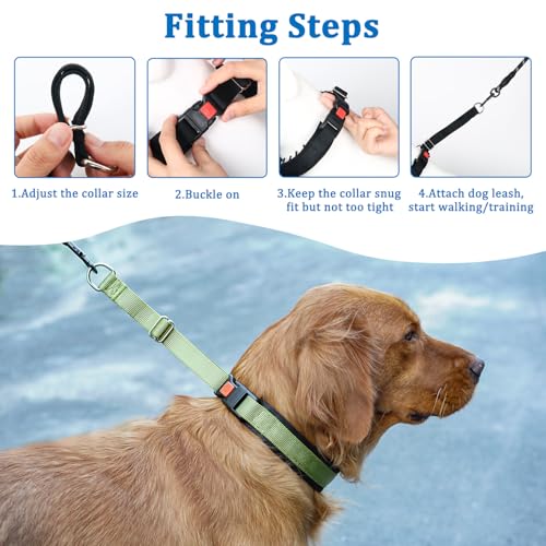 Mayerzon No Pull Dog Collar, Patented Martingale Collar for Small Medium Large Dogs with Buckle and Heavy Duty Nylon for Walking Training Hunting, Safe and Easy to Use(M, Green)