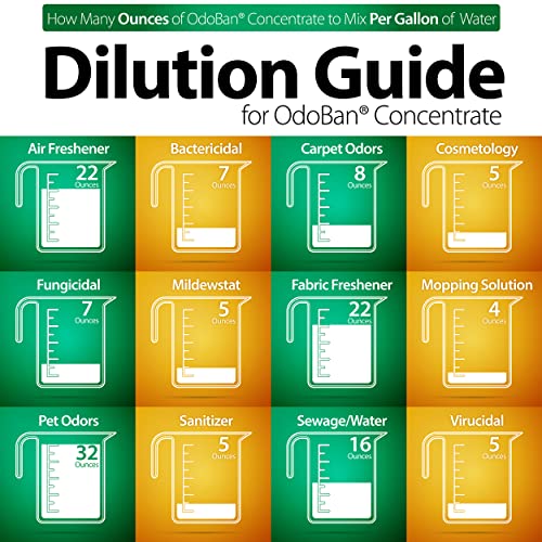 OdoBan Disinfectant Concentrate and Odor Eliminator, Made in the USA, Original Eucalyptus Scent, 1 Gallon
