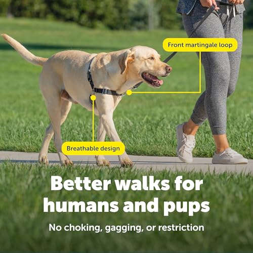 PetSafe Easy Walk No-Pull Dog Harness - Ultimate Harness to Help Stop Pulling - Pull-Free Walks - Take Control & Teach Better Leash Manners - Patented Martingale Loop Design - Black, Large