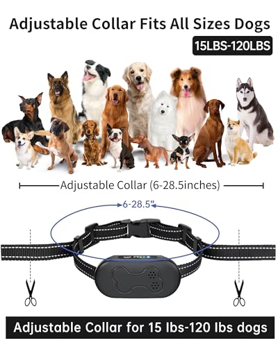 Dog Training Collar with Remote, Waterproof IPX7 E Collar for Dogs, Beep and Vibration Modes, Safe and Humane Training, 2000FT Range, Rechargeable, Fits Small Medium Large Dogs 15–120 lbs (Black)