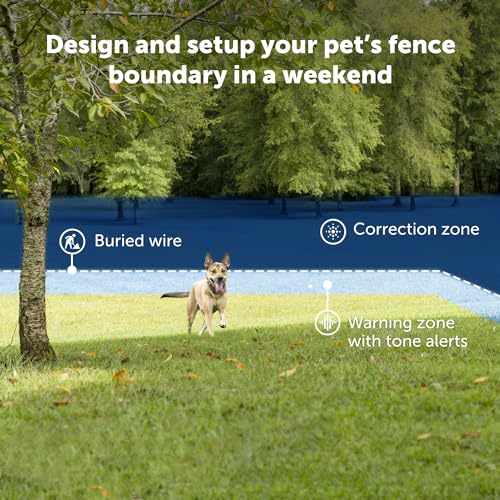 PetSafe Ultralight Pet Fence Receiver Collar for Dogs and Cats Over 8 lb. - Waterproof with Tone and Static Correction - Electric Dog Collar - from the Parent Company of Invisible Fence Brand