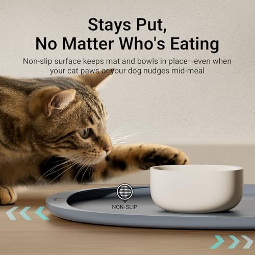 DownyPaws Cat Food Mats for Floors Waterproof, BPA Free Silicone Pet Feeding Mat, Non-Slip Pet Food Mat with High Raised Edge, Cat Placemat for Messy Drinkers, 18"×12.5", Gray