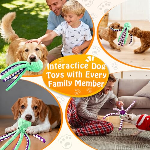 Fuufome Squeaky Plush Dog Toys, Soft Fabric Toys for Puppy, Small and Medium Dogs, Interactive Daily Companionship Training Reward Birthday Gift