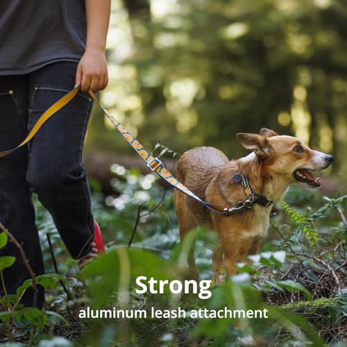 Ruffwear, Crag Dog Collar, Stylish Adventure Collar with Premium Reflective Design, Quick Release Buckle, Lightweight All-Day Comfort, Rising Wave, 14"-20"