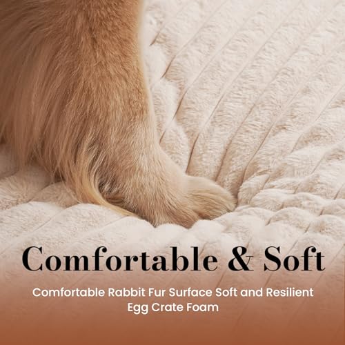 Cozila Dog Beds for Large Sized Dog, Orthopedic Pet Bed with Waterproof Lining, Soft Short Plush Surface & Egg Crate Foam, Machine Washable Pet Bed with Removable Cover & Anti Slip Bottom