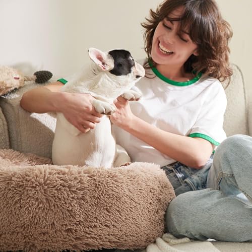 Bedsure Calming Dog Bed for Small Dogs - Donut Washable Small Puppy Bed, 23 inches Anti-Slip Round Fluffy Plush Faux Fur Large Cat Bed, Fits up to 25 lbs Pets, Camel
