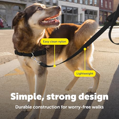 PetSafe Nylon Dog Leash Strong, Durable, Traditional Style Lead with Easy to Use Bolt Snap for Small, Medium and Large Dogs 3/8" x 6', Black