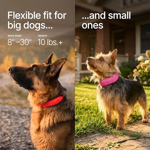 Halo Collar 5 Wireless Dog Fence & GPS Dog Collar, Keep Your Dog Safely Contained Outdoors with App-Controlled Boundaries and Real-Time Tracking, One Size, Realtree Camo