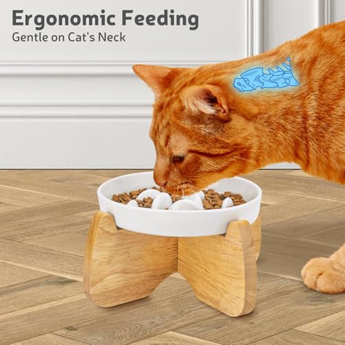 GUWINA Raised Slow Feeder Cat Bowl with Stand, 6.3'' Wide Ceramic Elevated Shallow Slow Eating Cat Bowl for Dry/Wet Food, Anti-Vomiting Pet Puzzle Feeder, Whisker Friendly, Dishwasher Safe (White)