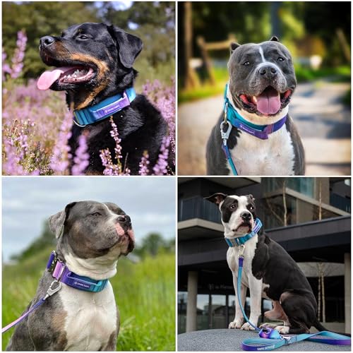 Spark Paws Tactical Dog Collar - Heavy Duty, Premium Quality, Thick and Durable for Large and Medium Dogs - 90's Retro - L