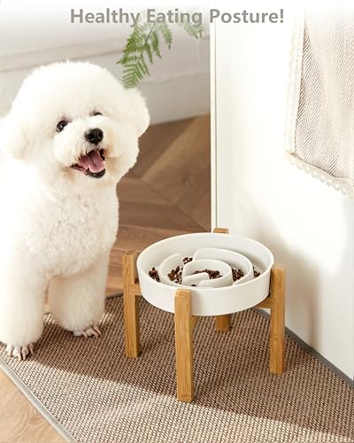 MOPANG Ceramic Slow Feeder Dog Bowls Elevated, 2.0 Cups Slow Feeder for Medium Dogs, Puzzle Maze Bowl to Slow Down Eating, 30oz, 8in, White