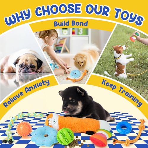 PatsFran Puppy Toys for Teething, 9 Pack Interactive Dog Toys for Small Dogs, Puppy Chew Toys for Boredom with Rope Toys, Treat Ball and Cute Squeaky Toys