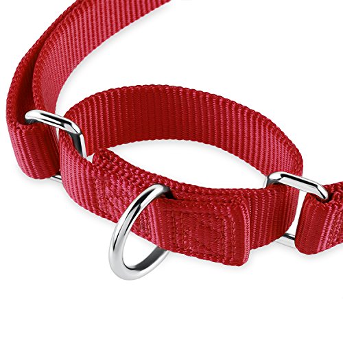 Hyhug Martingale Collar for Dogs Large Red |Escape - Proof Heavy Duty Nylon Durable No Pull, Ideal for Training & Daily Walks