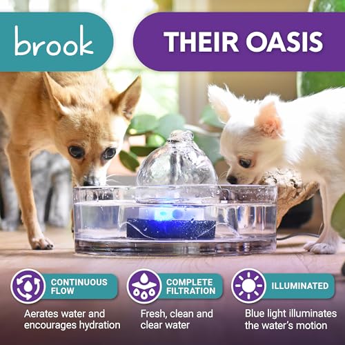 Brook Glass Pet Fountain (90oz/2.7L) – Cat & Dog Water Fountain – Glass Cat Fountain & Automatic Water Dispenser for Drinking