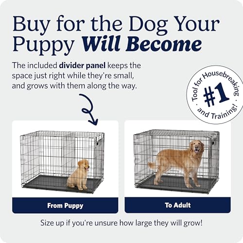 MidWest Homes for Pets 30-Inch iCrate for Medium Breeds, 21-40 lbs, Single Door Folding Dog Crate with Divider Panel, Leak-Proof Tray & Secure Latch, Portable, Durable & Easy to Assemble