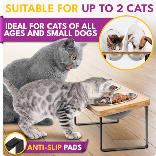 Raised cat Bowls for Indoor Cats by WinTruffles, Elevated cat Bowls, Tilted and Elevated Anti Vomiting Cat Dishes for Food and Water, Set of 2 Stainless Steel Bowl
