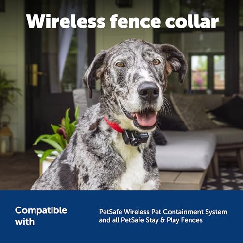 PetSafe Wireless Pet Fence Containment System Receiver Collar Only for Dogs and Cats Over 8 lbs., Waterproof with Tone and Static Correction - from The Parent Company of Invisible Fence Brand
