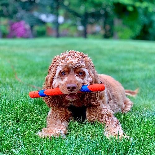 Chuckit! Interactive Dog Toy Ultra Fetch Stick - 12 Inch Outdoor Dog Toy for All Breed Sizes