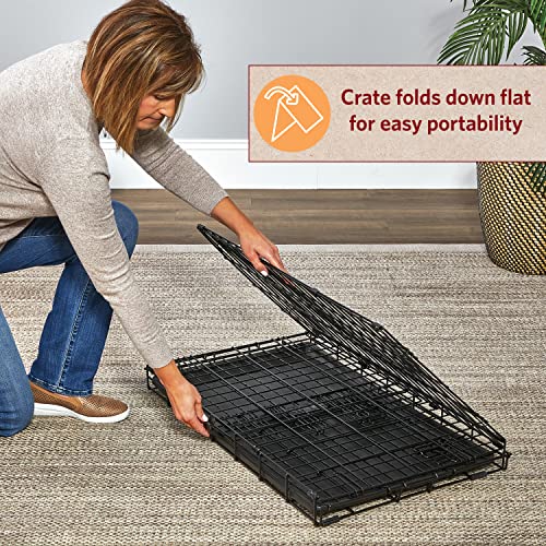 MidWest Homes for Pets Intermediate LifeStages Double Door 36-Inch Folding Dog Crate, Enhanced Security, Includes Leak-Proof Pan, Divider Panel, Handle, Rubber Feet
