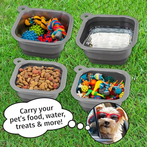 Mobile Dog Gear Small Collapsible Dog Water Bowls for Travel (Set of 2, 2 Cups Each) - Portable Foldable Bowl for Feeding Pets, Cats & Dogs - Easy to Clean Silicone Dish, Great for Camping & Traveling