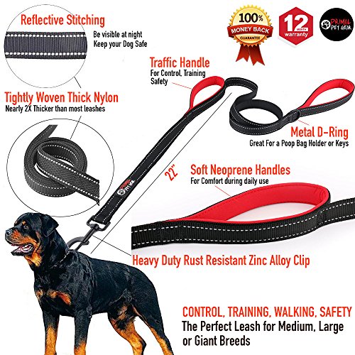 Primal Pet Gear Dog Leash 6ft Long,Traffic Padded Two Handle,Heavy Duty,Reflective Double Handles Lead for Control Safety Training,Leashes for Large Dogs or Medium Dogs,Dual Handles Leads(Black)