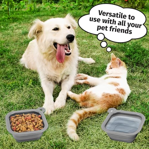 Mobile Dog Gear Small Collapsible Dog Water Bowls for Travel (Set of 2, 2 Cups Each) - Portable Foldable Bowl for Feeding Pets, Cats & Dogs - Easy to Clean Silicone Dish, Great for Camping & Traveling