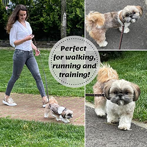 ADITYNA - Premium Leather Dog Leash - 6 ft, Heavy-Duty, Soft & Strong for Small/Medium Dogs - Perfect for Walking, Training, Hiking, and Running (Small: 6 ft x 1/2", Brown)